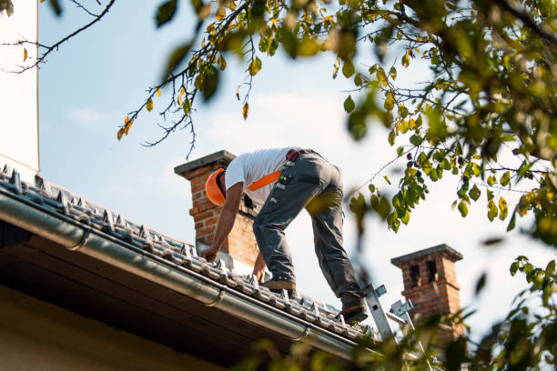 Best Storm Damage Roof Repair  in Burlington, KY