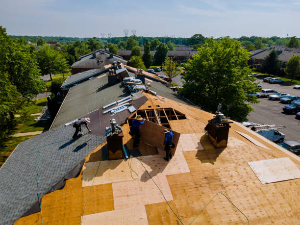 Best Flat Roof Repair Services  in Burlington, KY
