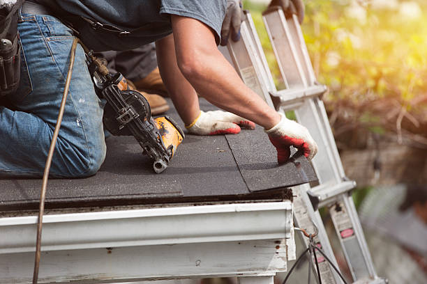 Best Metal Roofing Contractor  in Burlington, KY